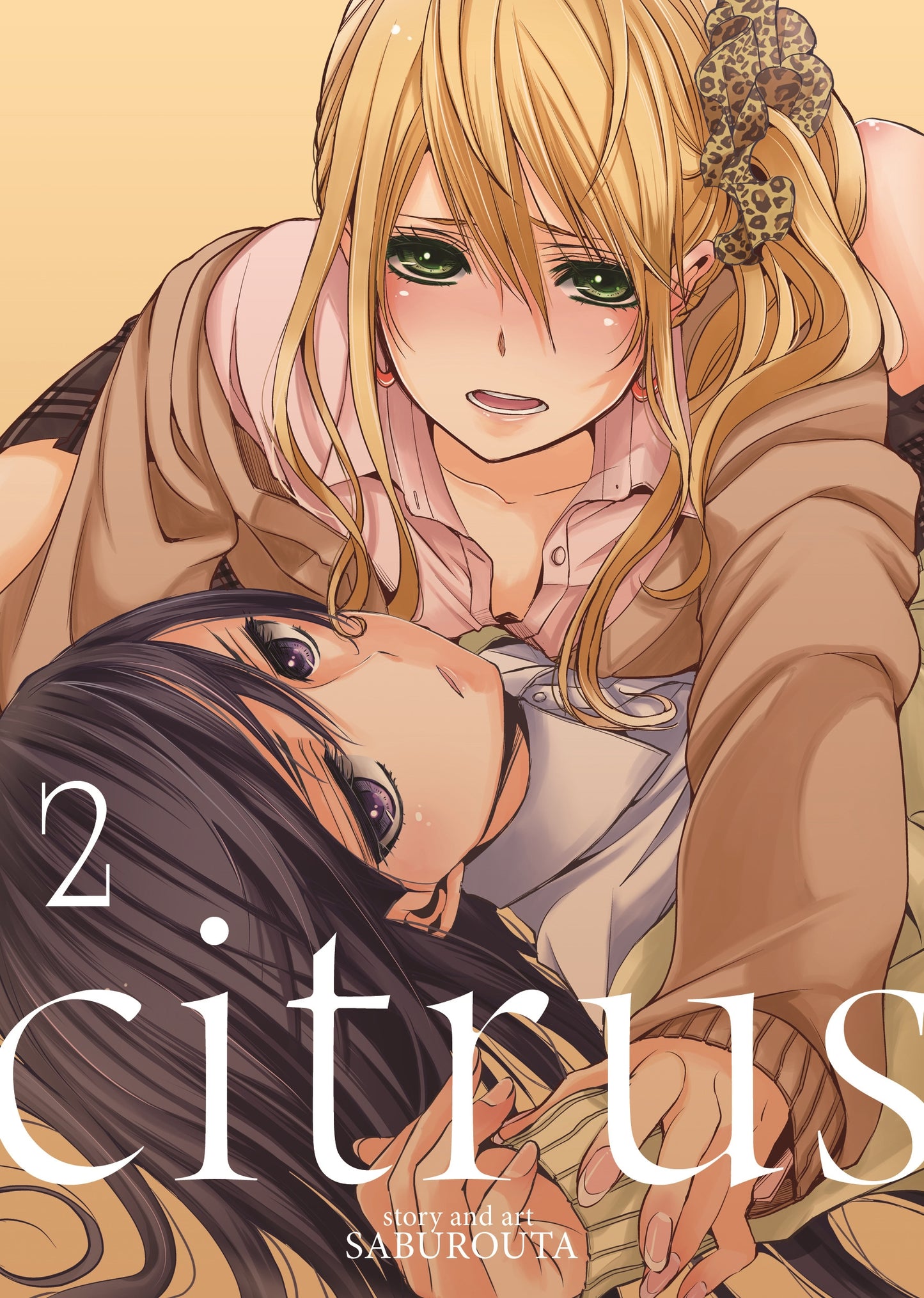 Citrus Vol. 2 - Manga Warehouse