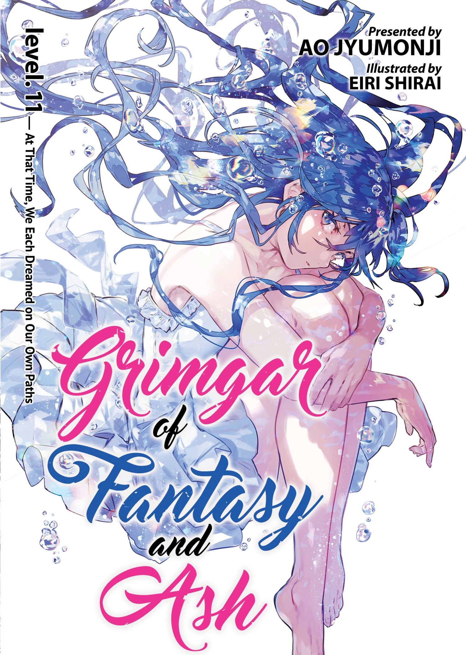 Grimgar of Fantasy and Ash (Light Novel) Vol. 11 - Manga Warehouse
