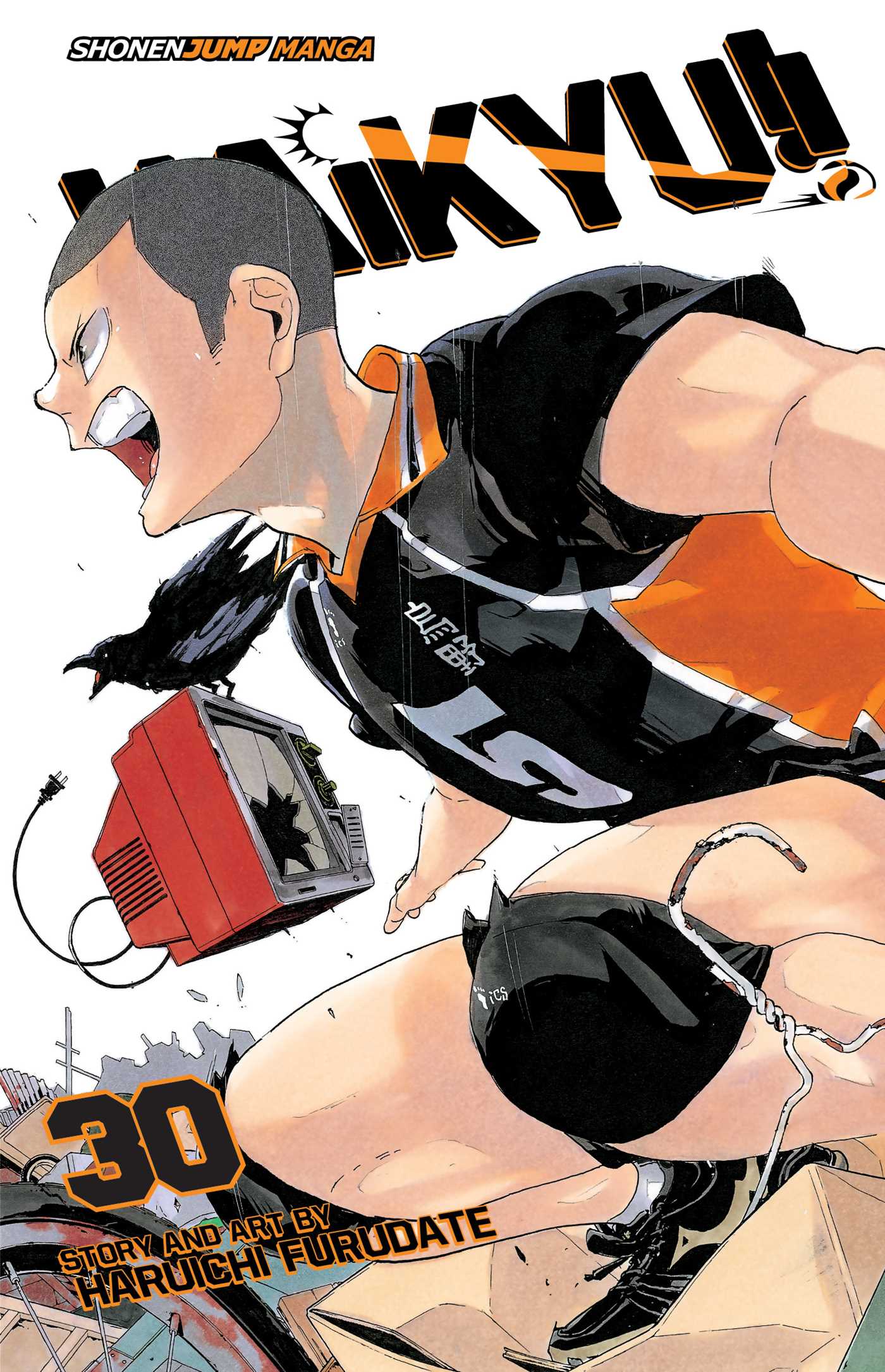 Haikyu!!, Vol. 30 - Manga Warehouse