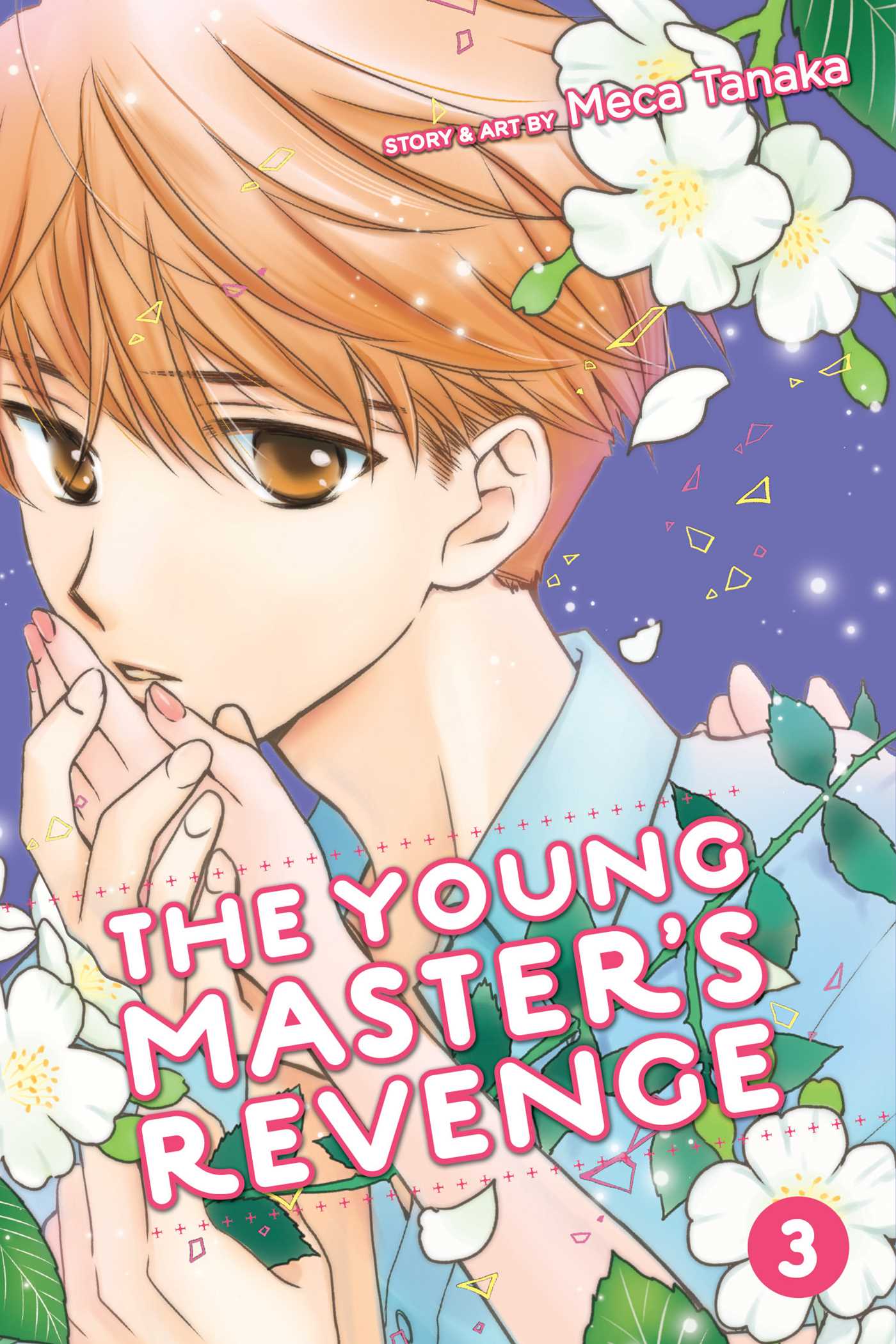 The Young Master's Revenge, Vol. 3 - Manga Warehouse